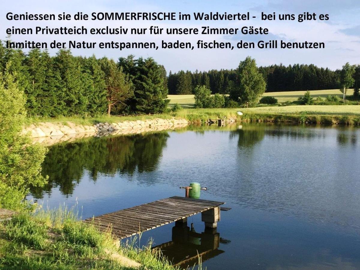 Hotel Sommerfrische Waldviertel Kirchberg am Walde Esterno foto